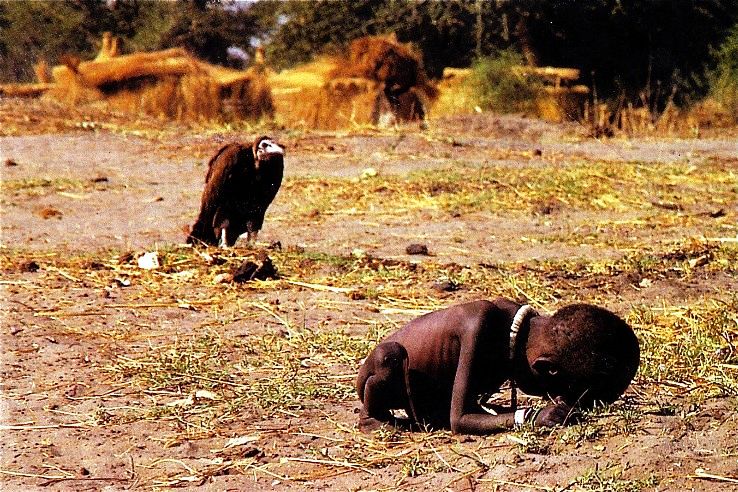 3. A photo of a vulture waiting for the starving kid to die